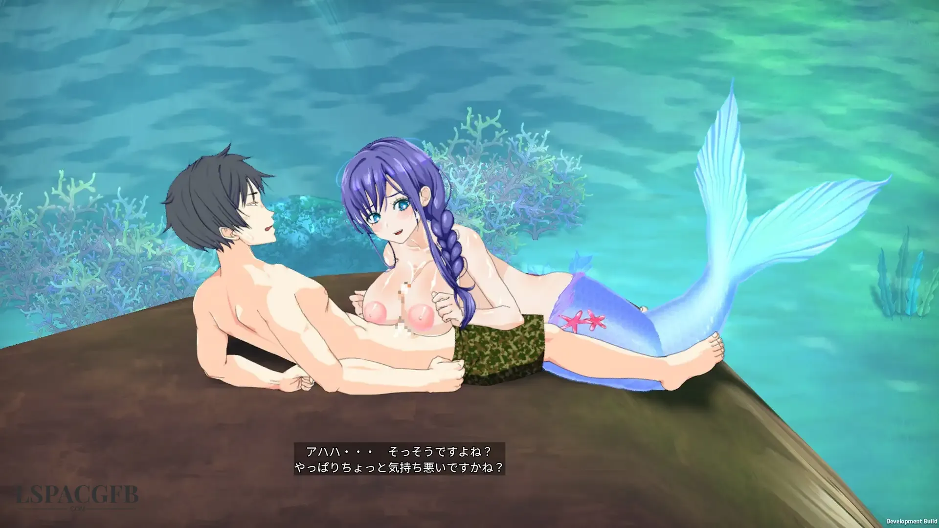 11.webp