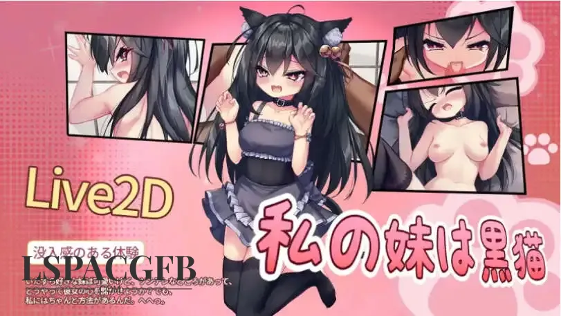 5.webp