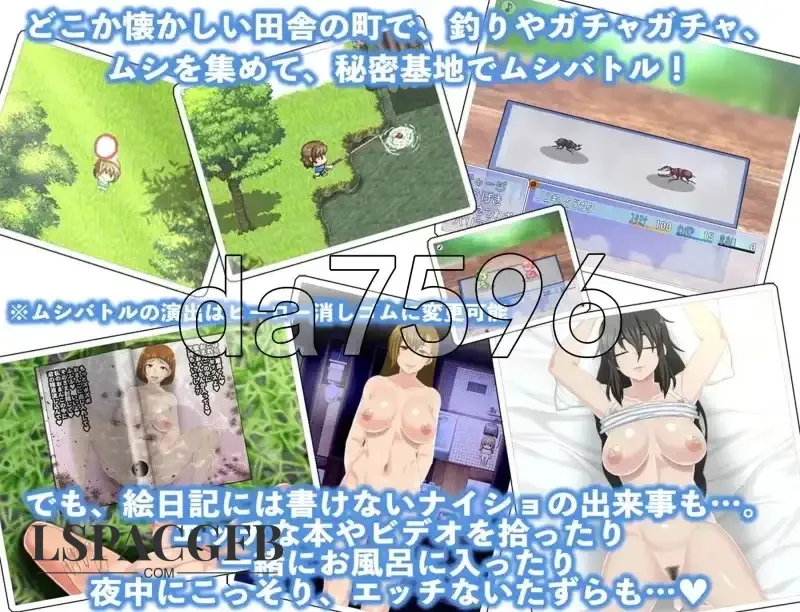 5.webp
