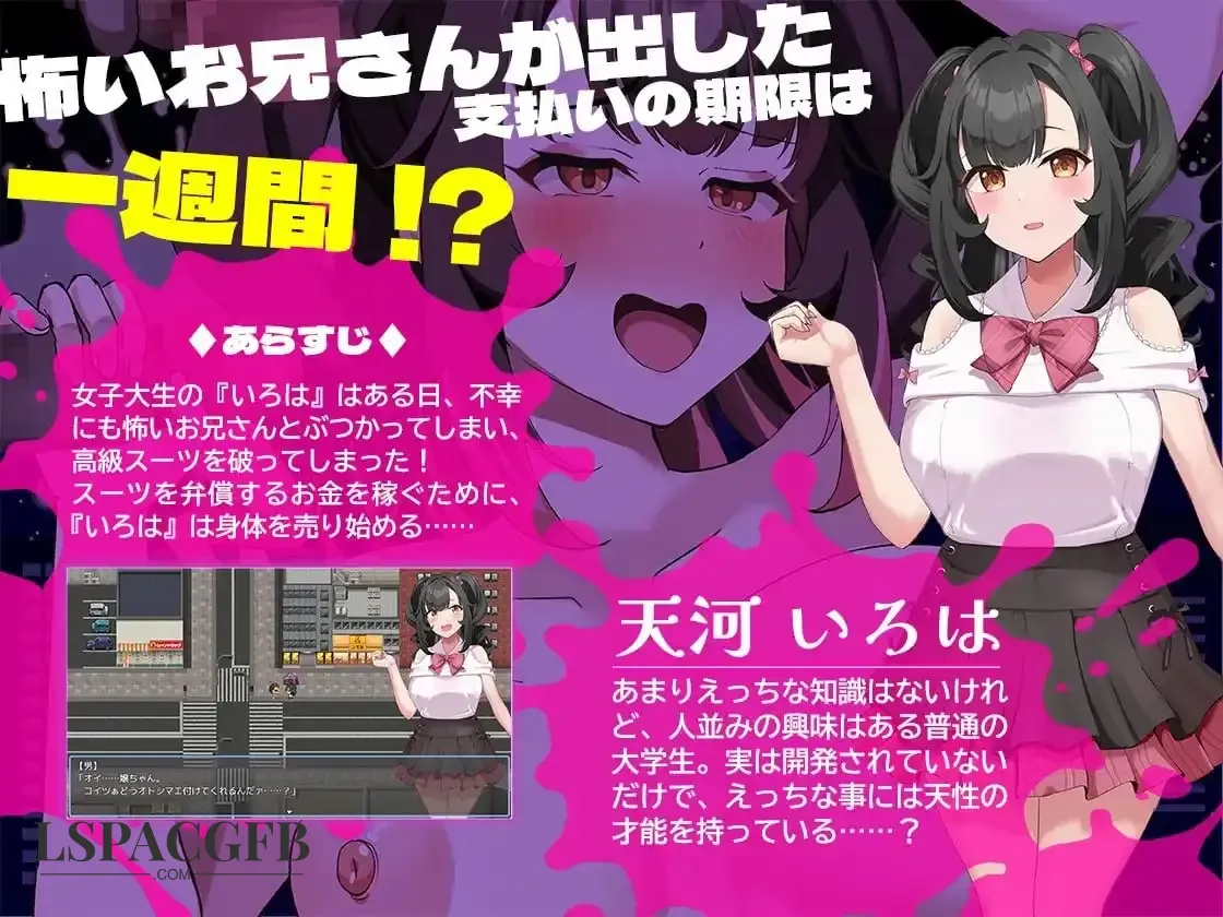 12.webp