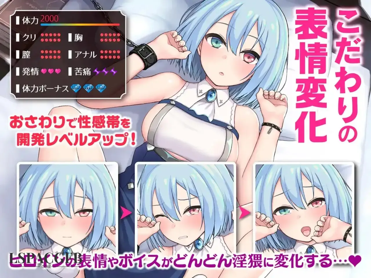 7.webp