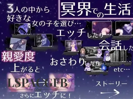 6.webp