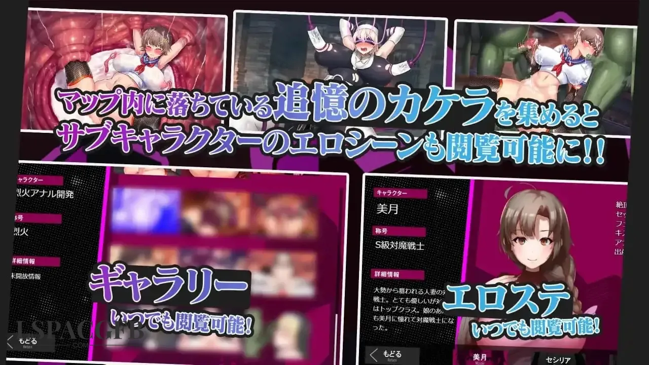 7.webp