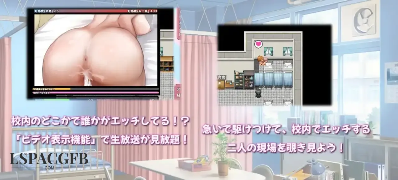 7.webp