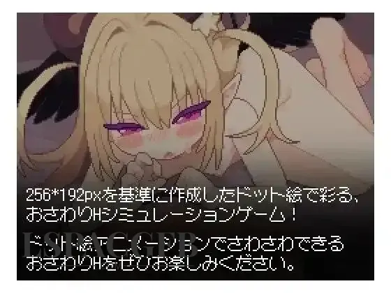7.webp