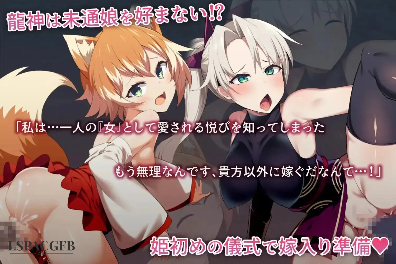 2.webp