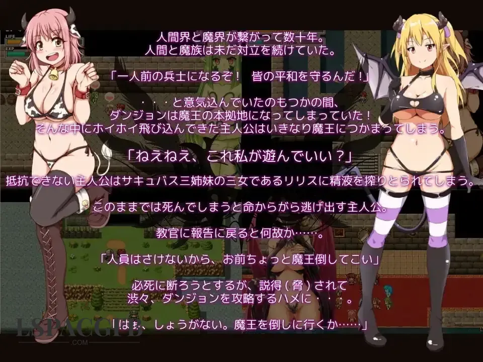 5.webp