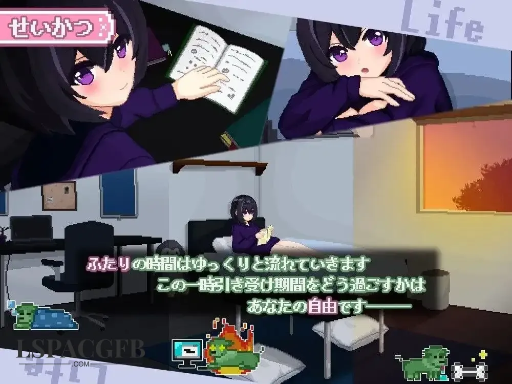 7.webp