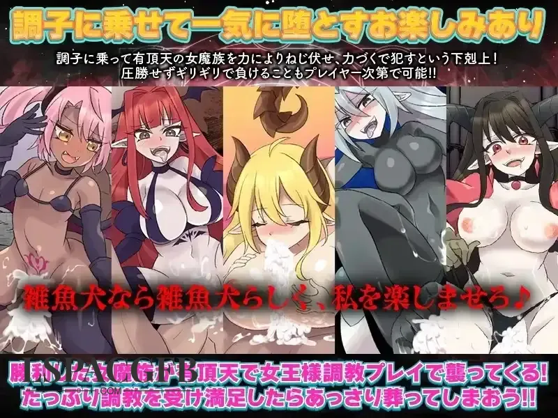 3.webp