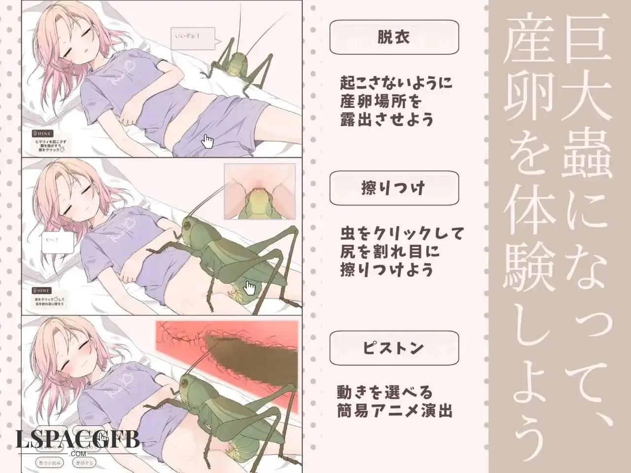 4.webp