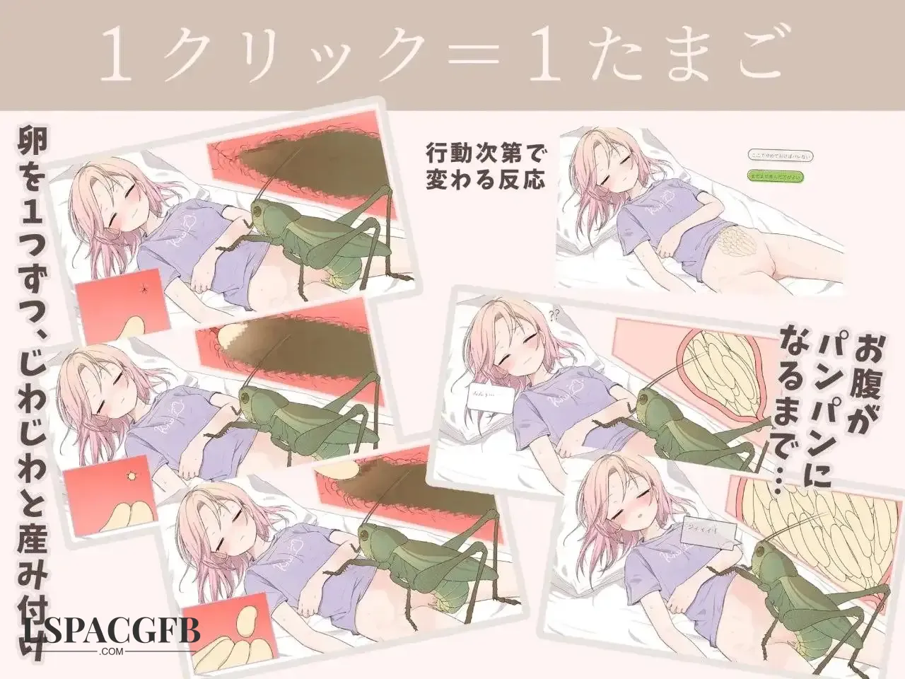 6.webp
