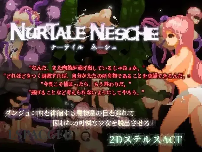 1.webp