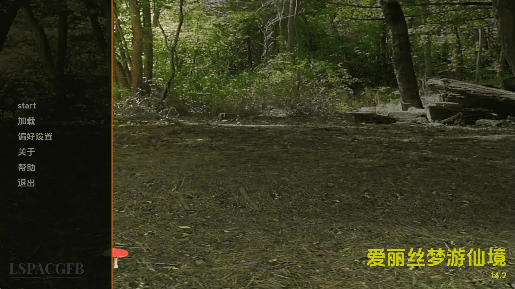 11.webp