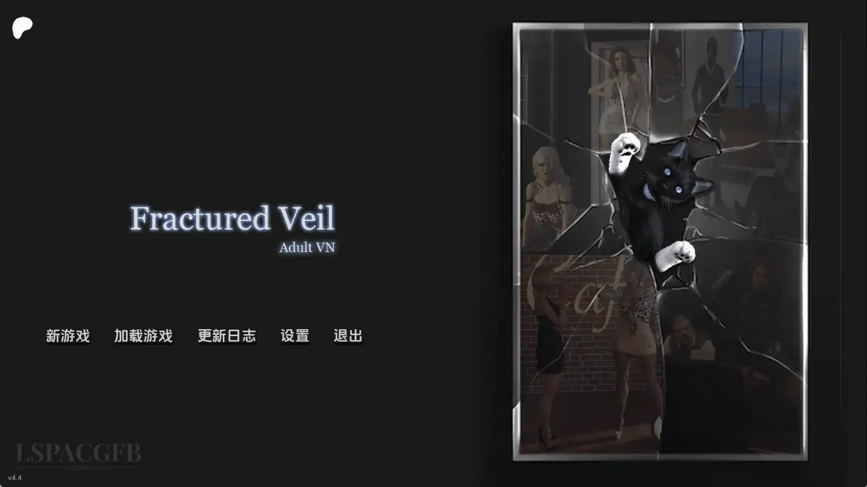 14.webp