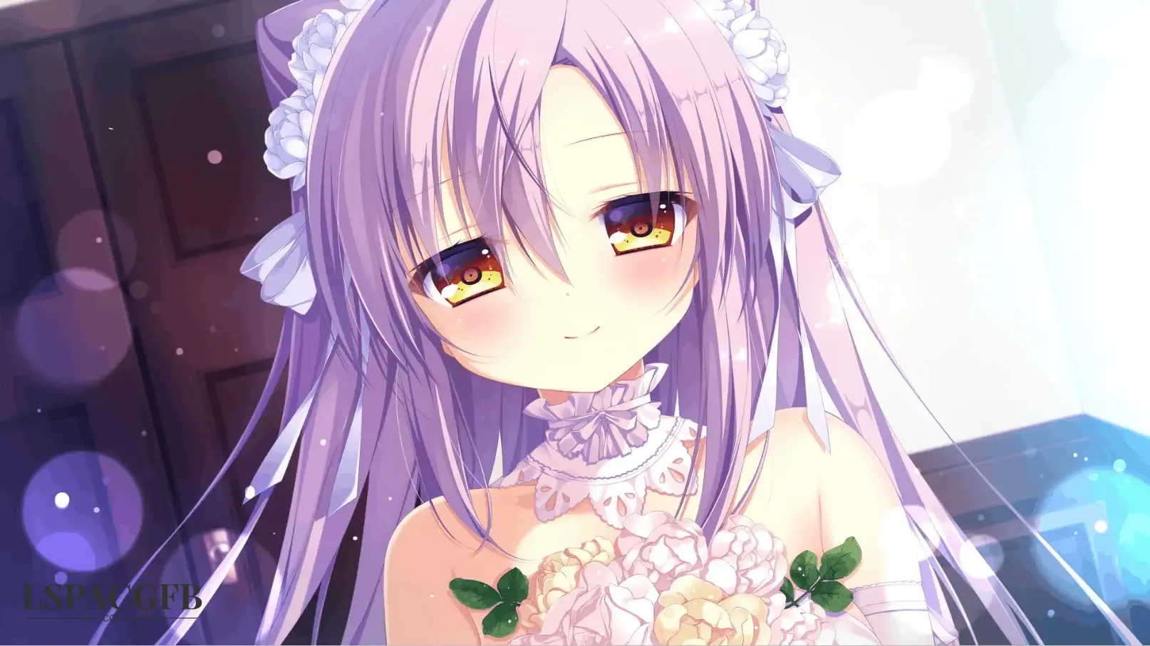 11.webp