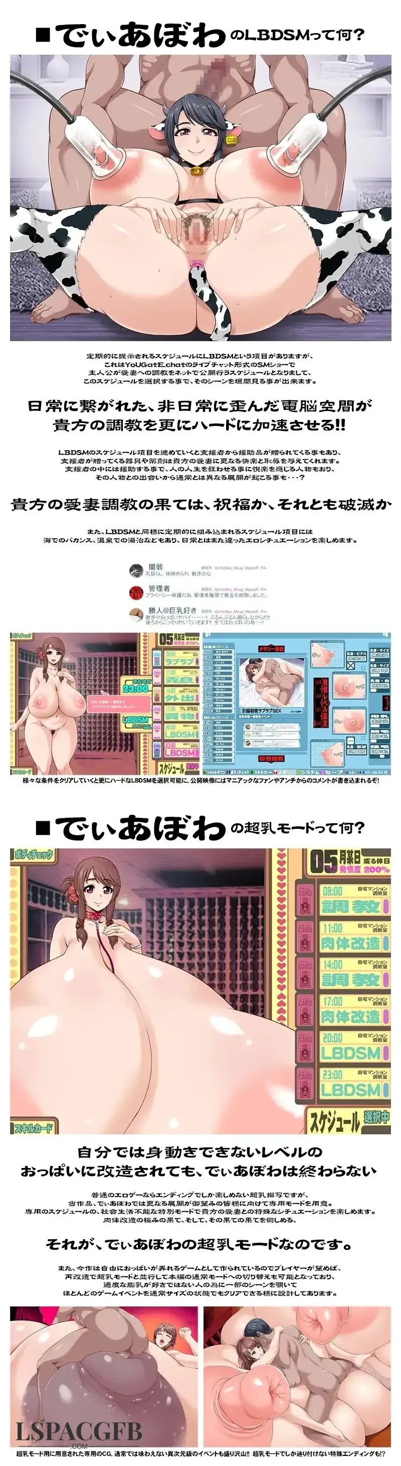 4.webp