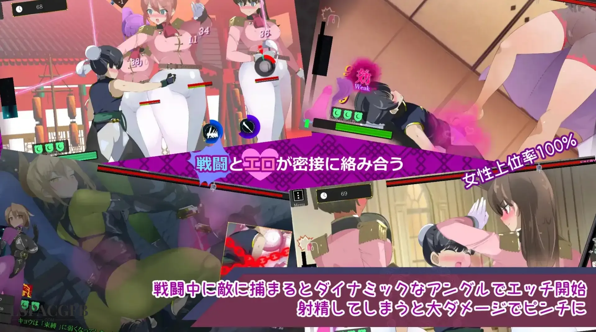 9.webp