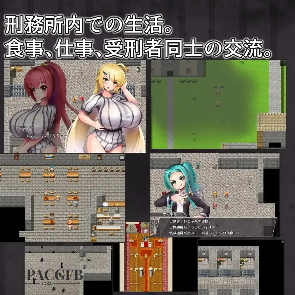 4.webp