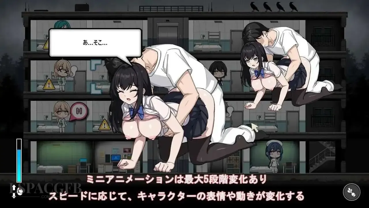 8.webp