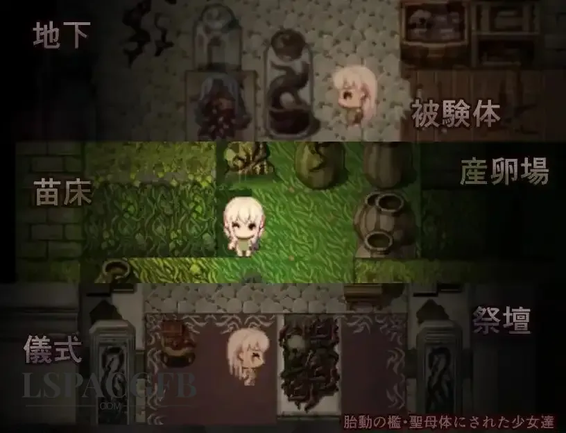 9.webp