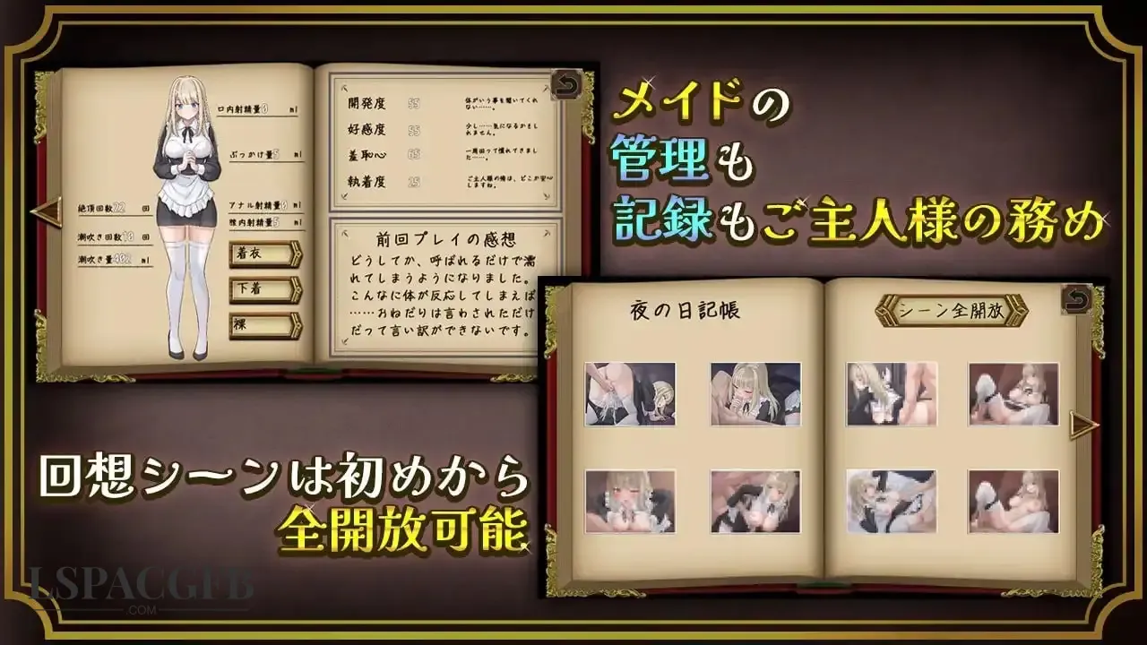 14.webp