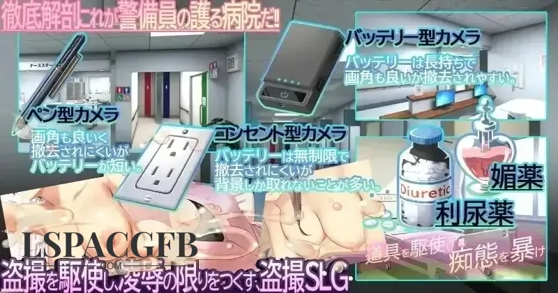 13.webp