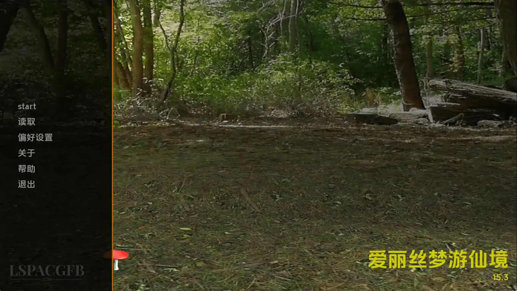 11.webp