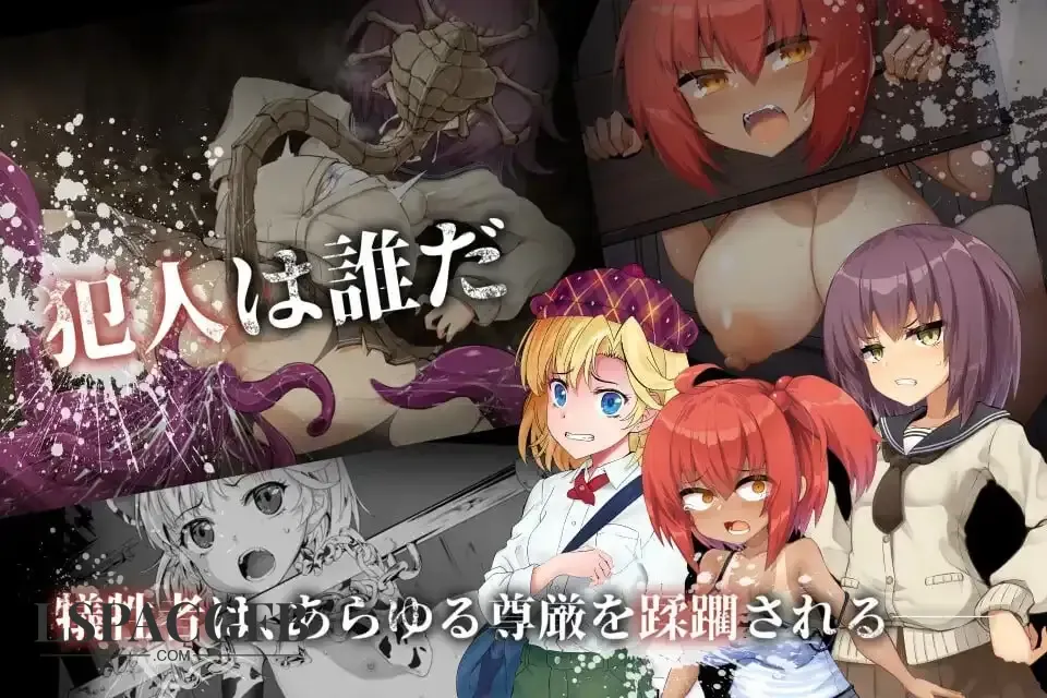 7.webp