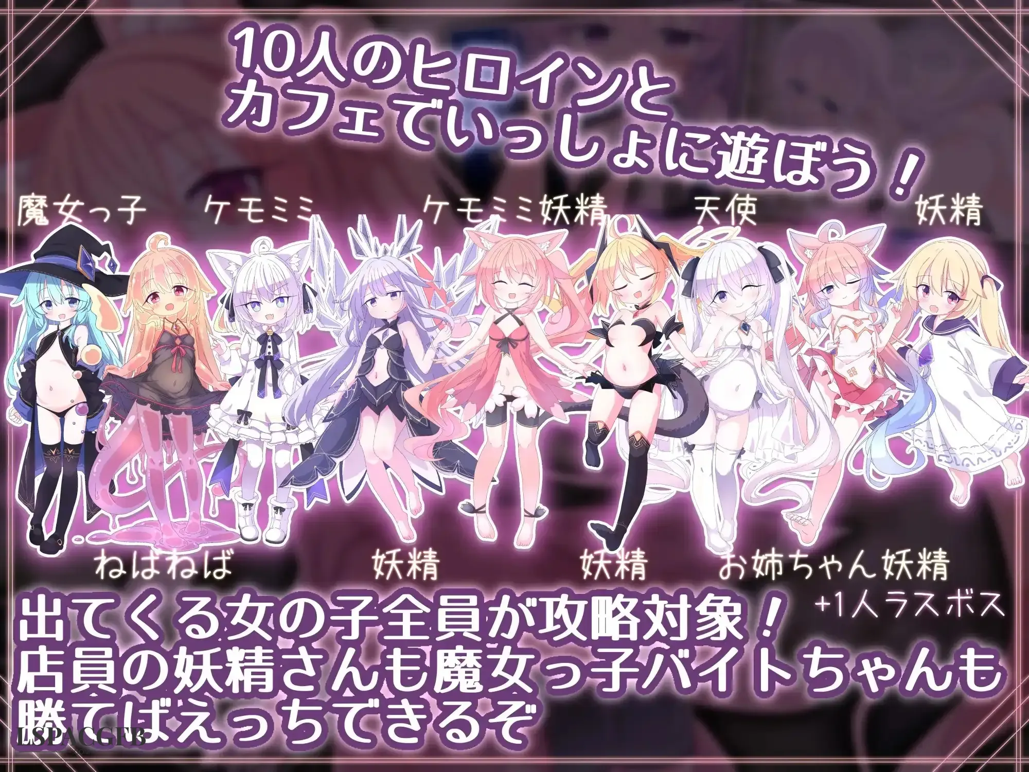5.webp