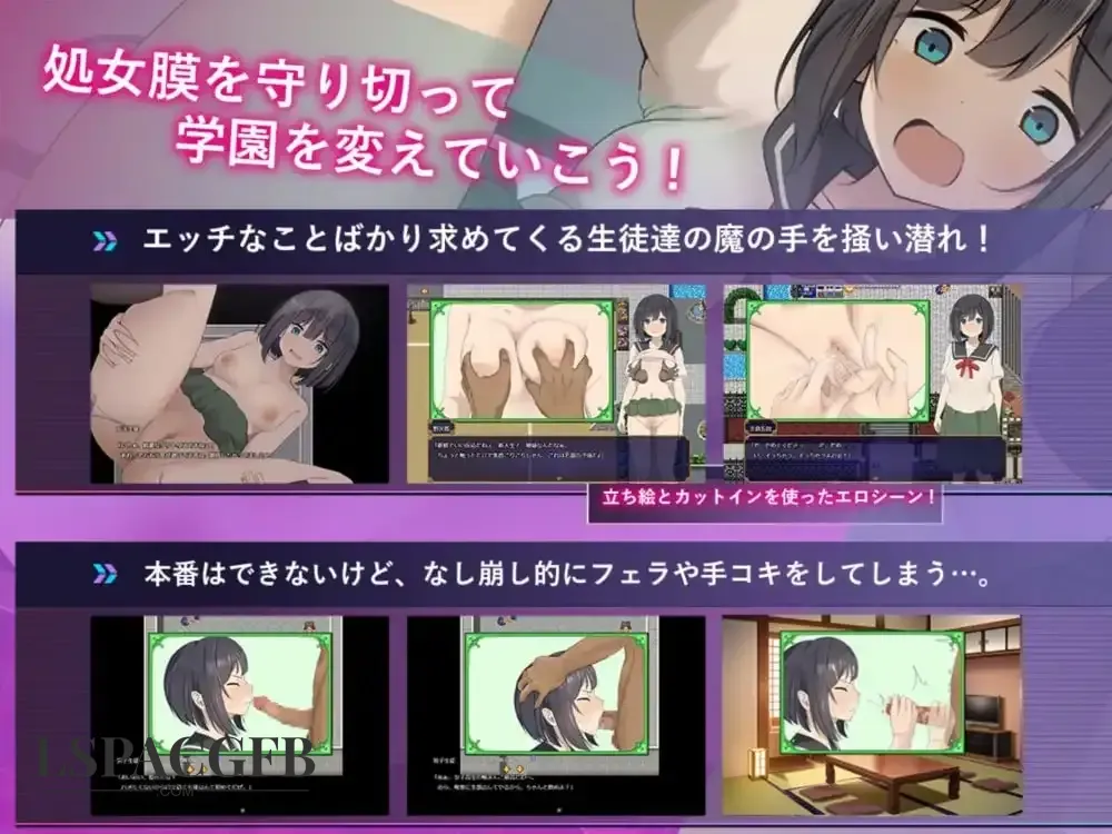 11.webp