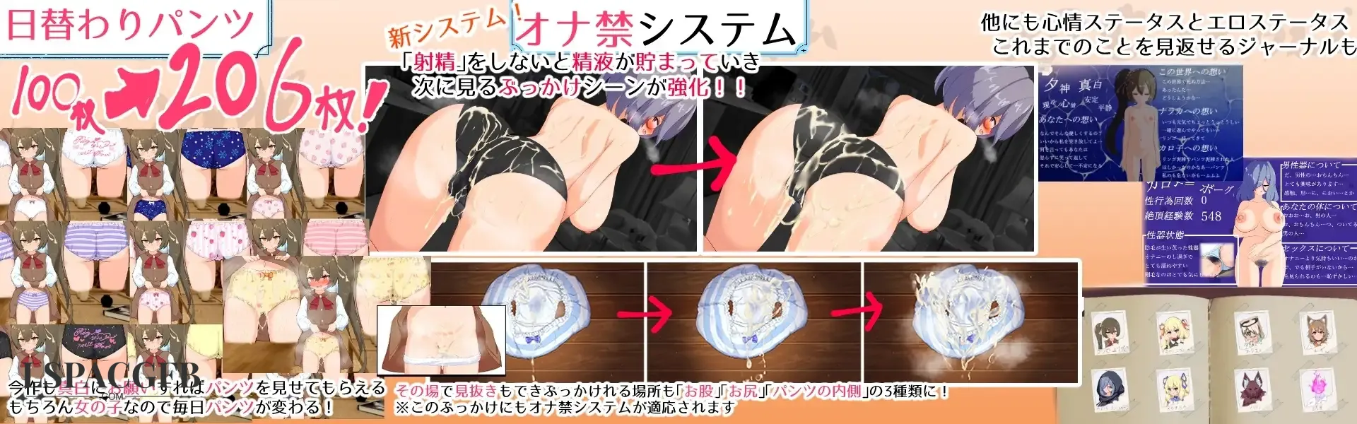 13.webp