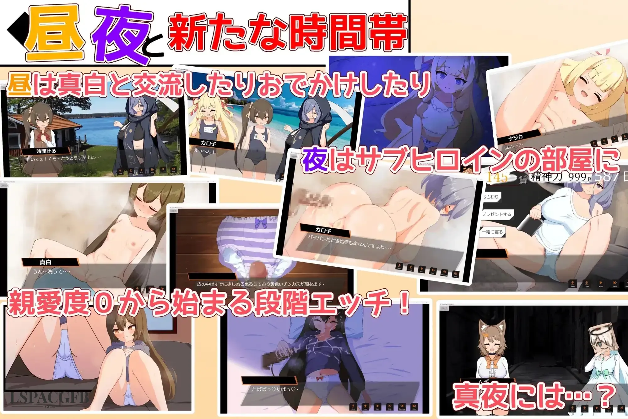3.webp