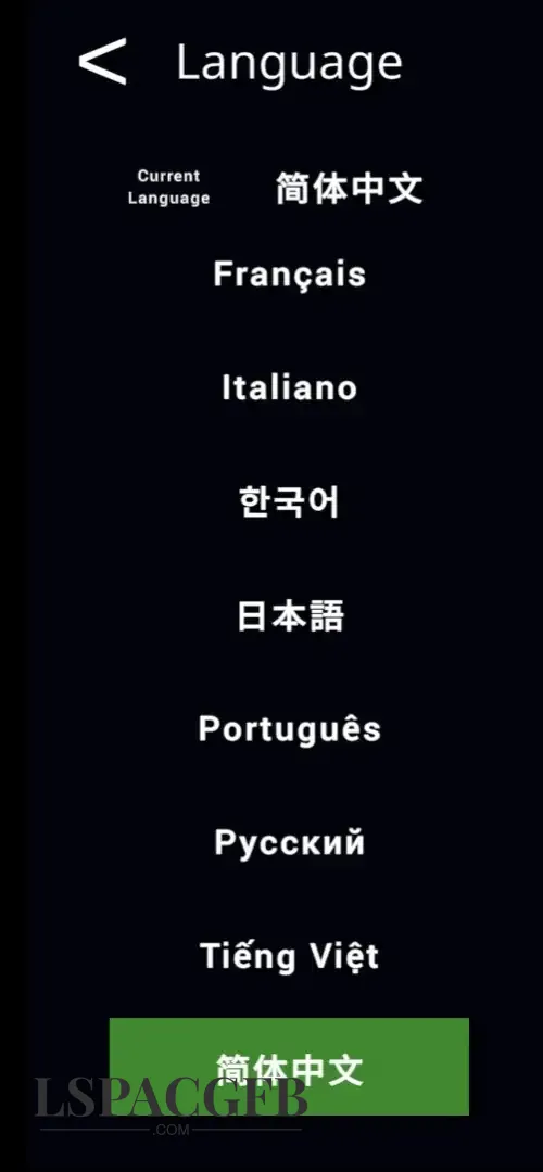 11.webp
