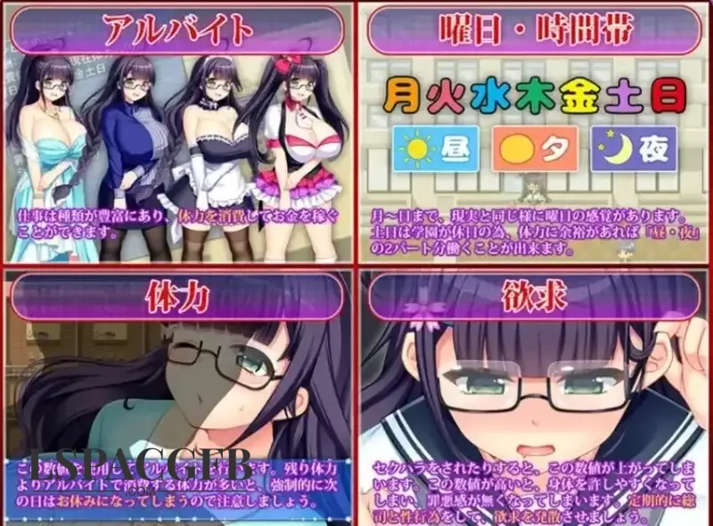 5.webp