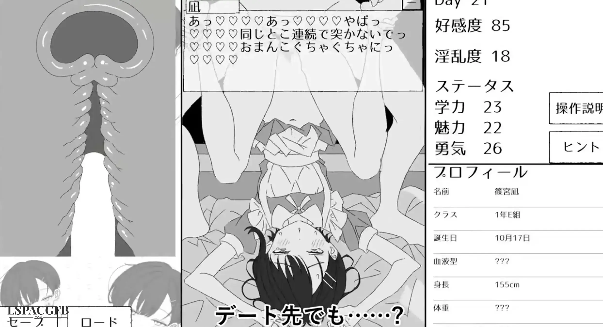 3.webp