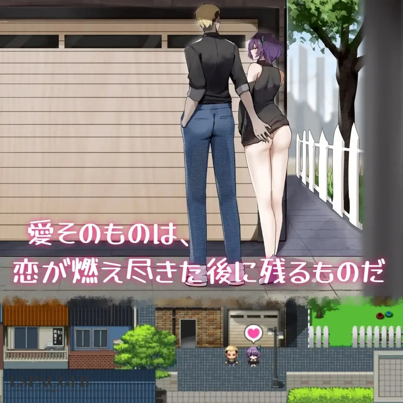 12.webp
