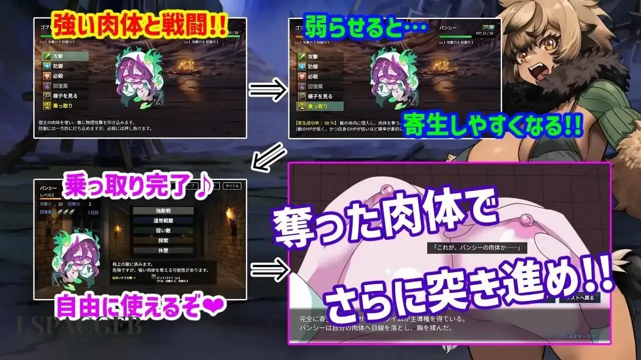 10.webp