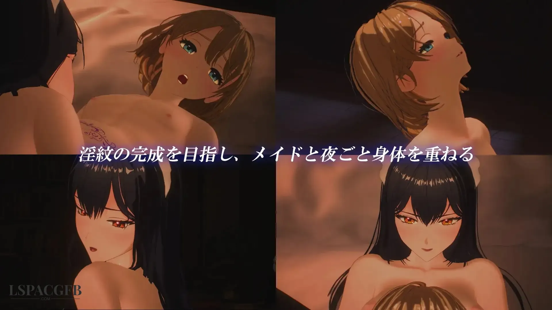 6.webp