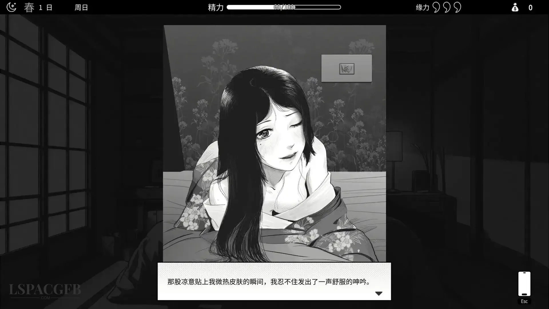 11.webp