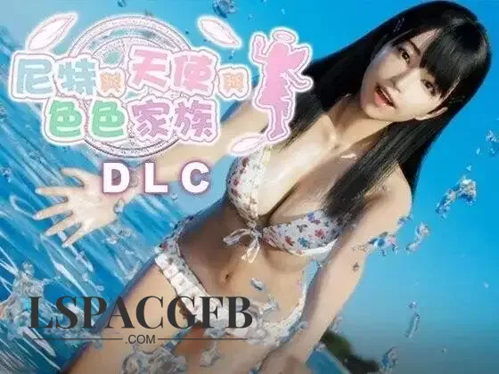 12.webp