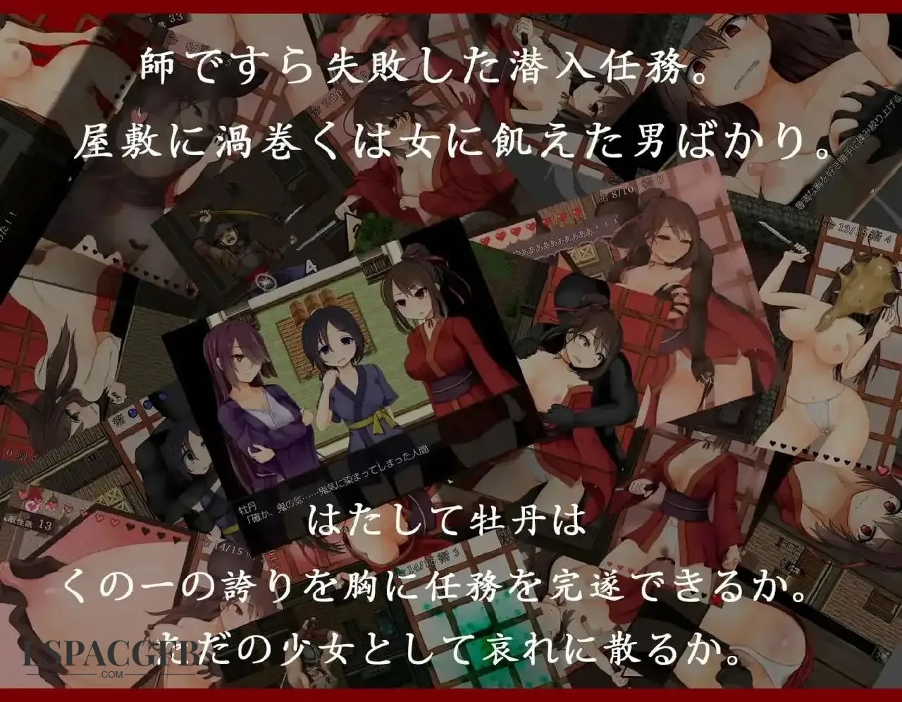 6.webp