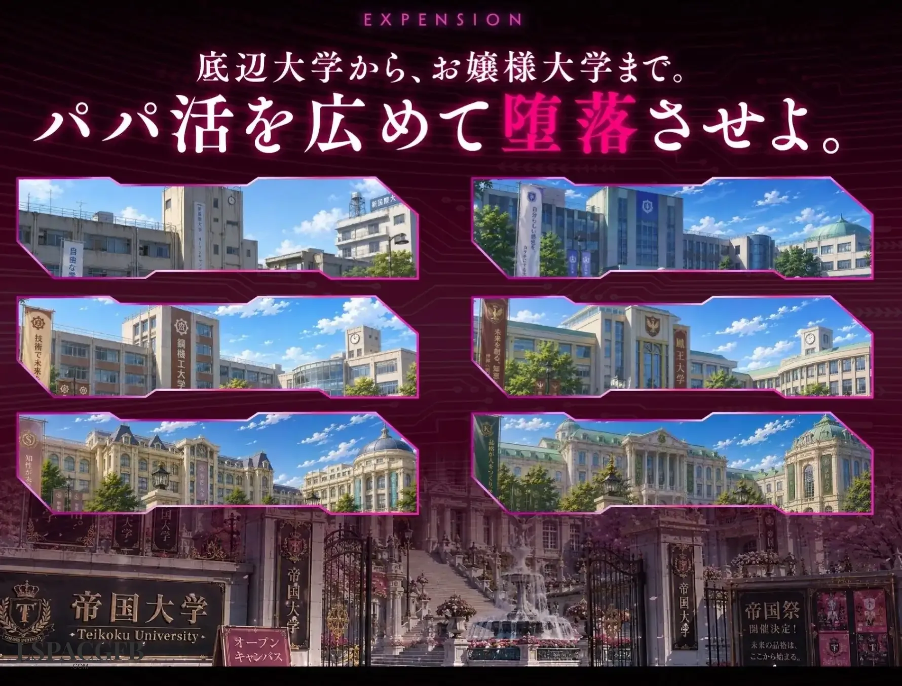 7.webp