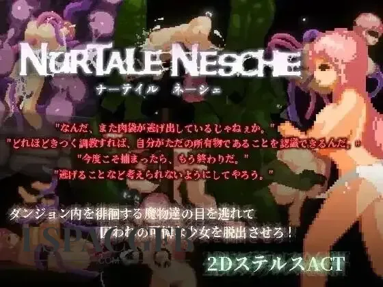 9.webp