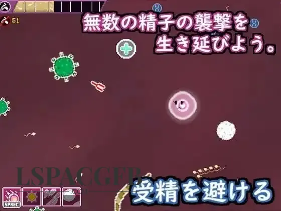 9.webp