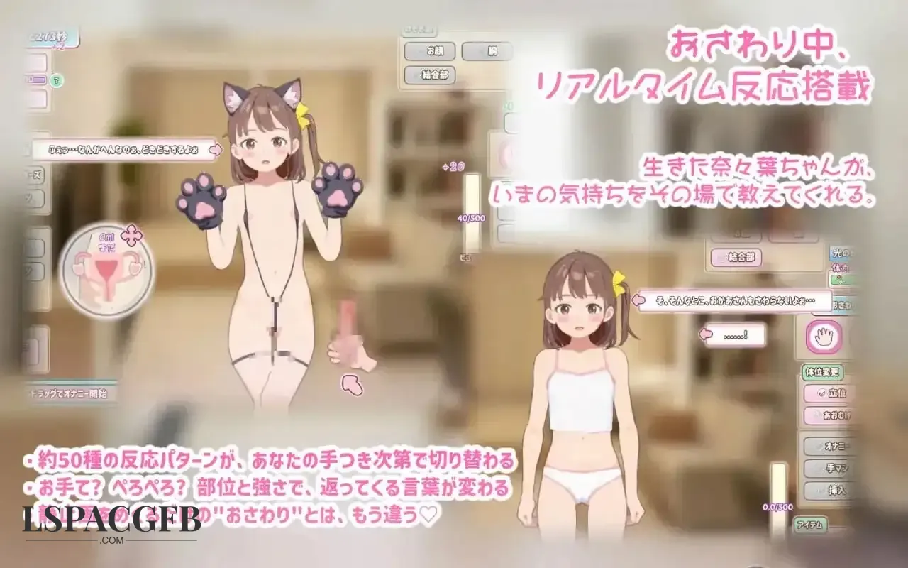 6.webp
