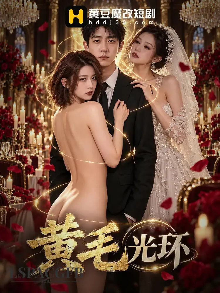 封面.webp
